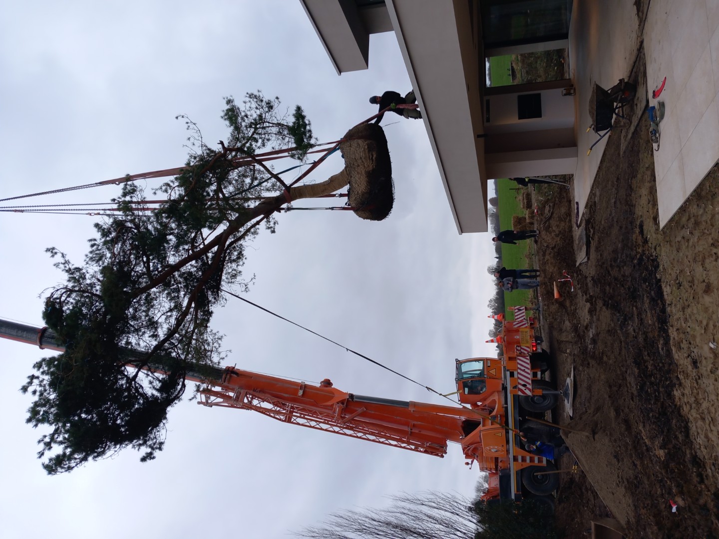 Plan 3D jardin paysager Luxembourg Plan 3D jardin paysager Luxembourg